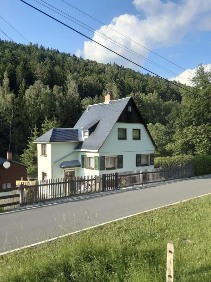 Ferienhaus Rosemarie Erlbach Vogtland Экстерьер фото
