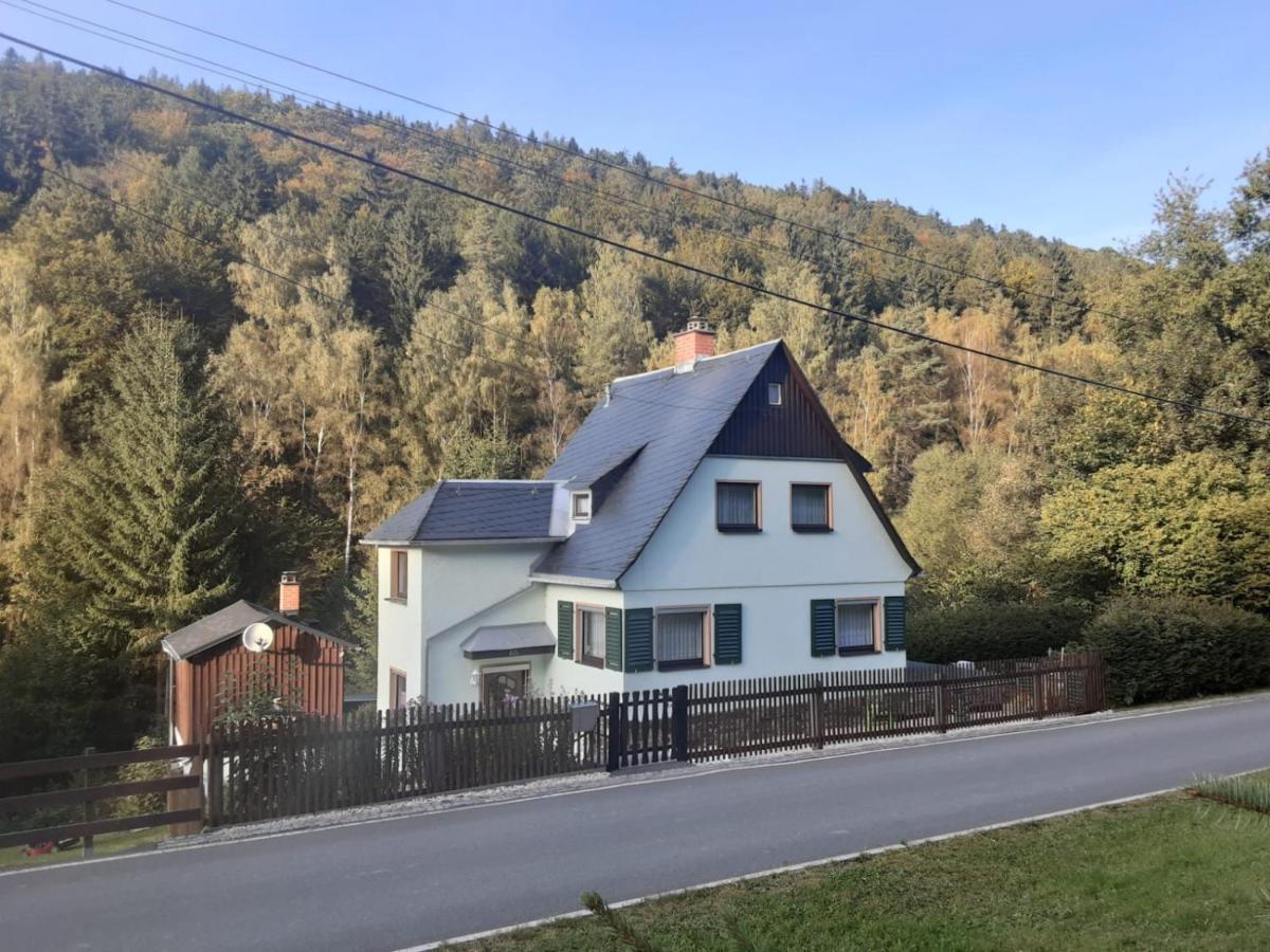 Ferienhaus Rosemarie Erlbach Vogtland Экстерьер фото