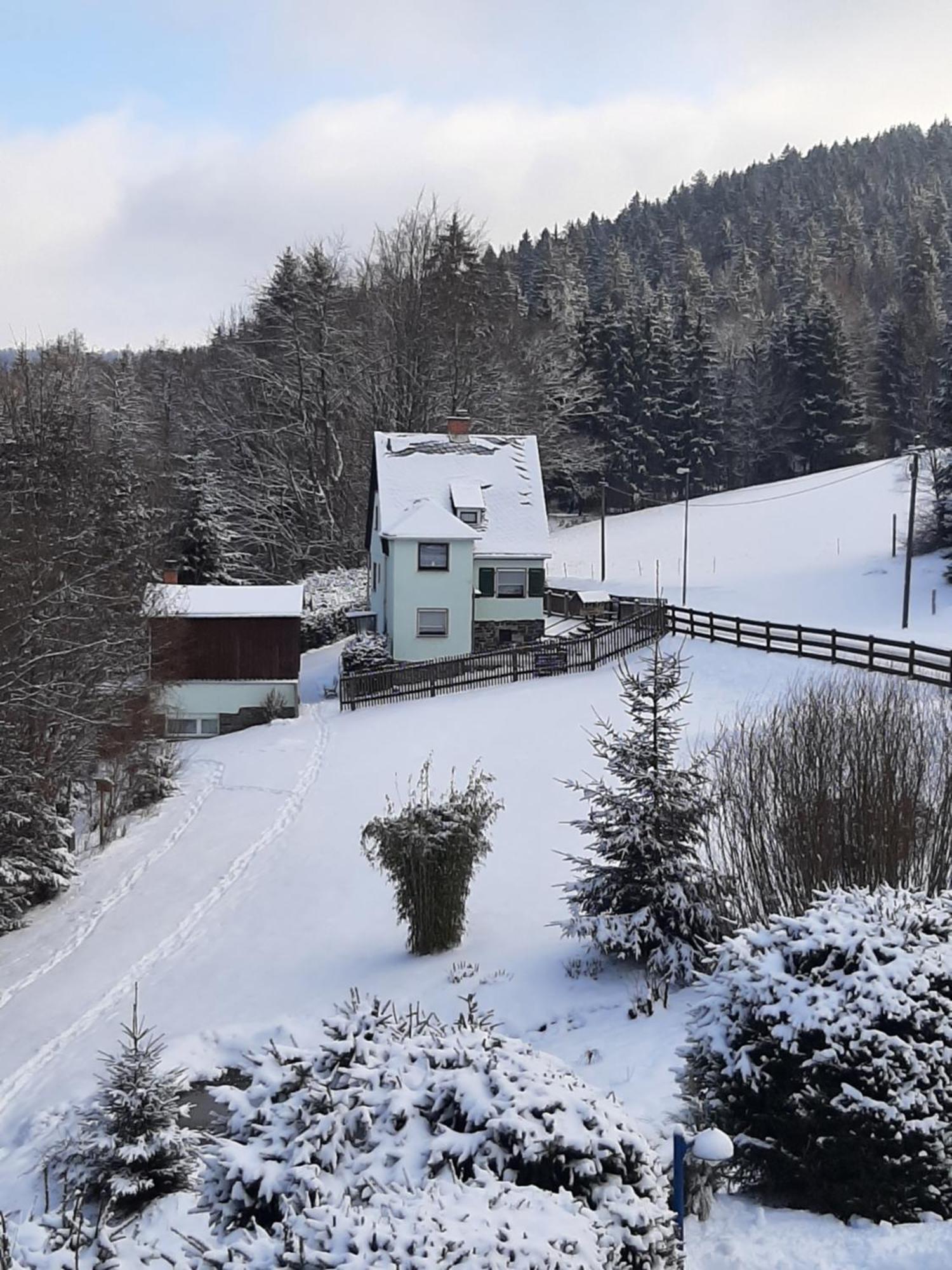 Ferienhaus Rosemarie Erlbach Vogtland Экстерьер фото