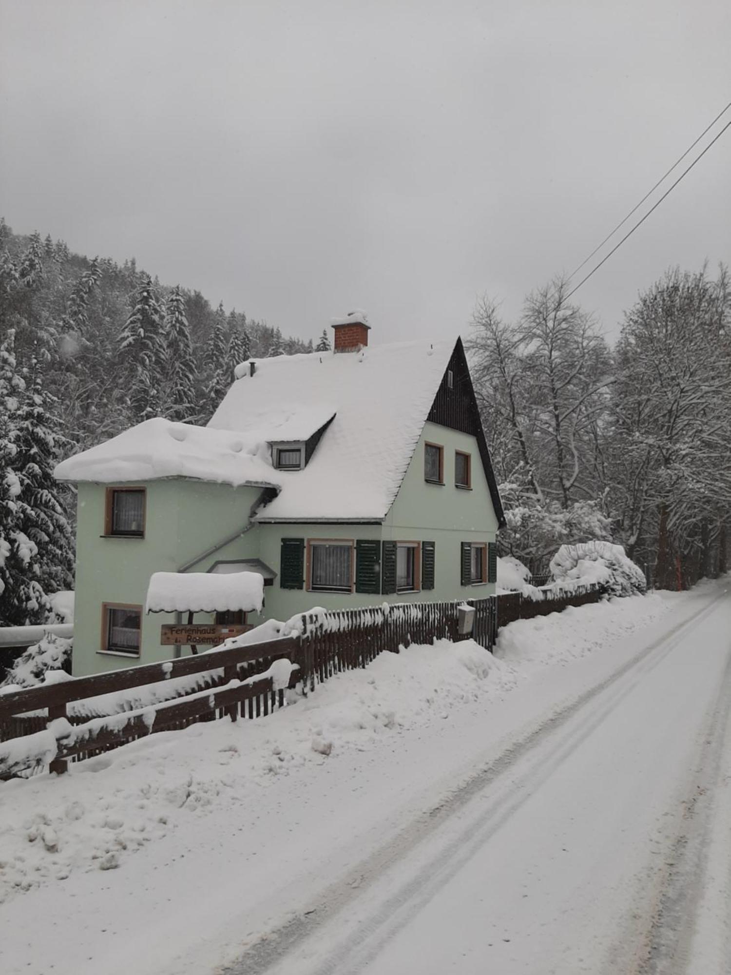 Ferienhaus Rosemarie Erlbach Vogtland Экстерьер фото